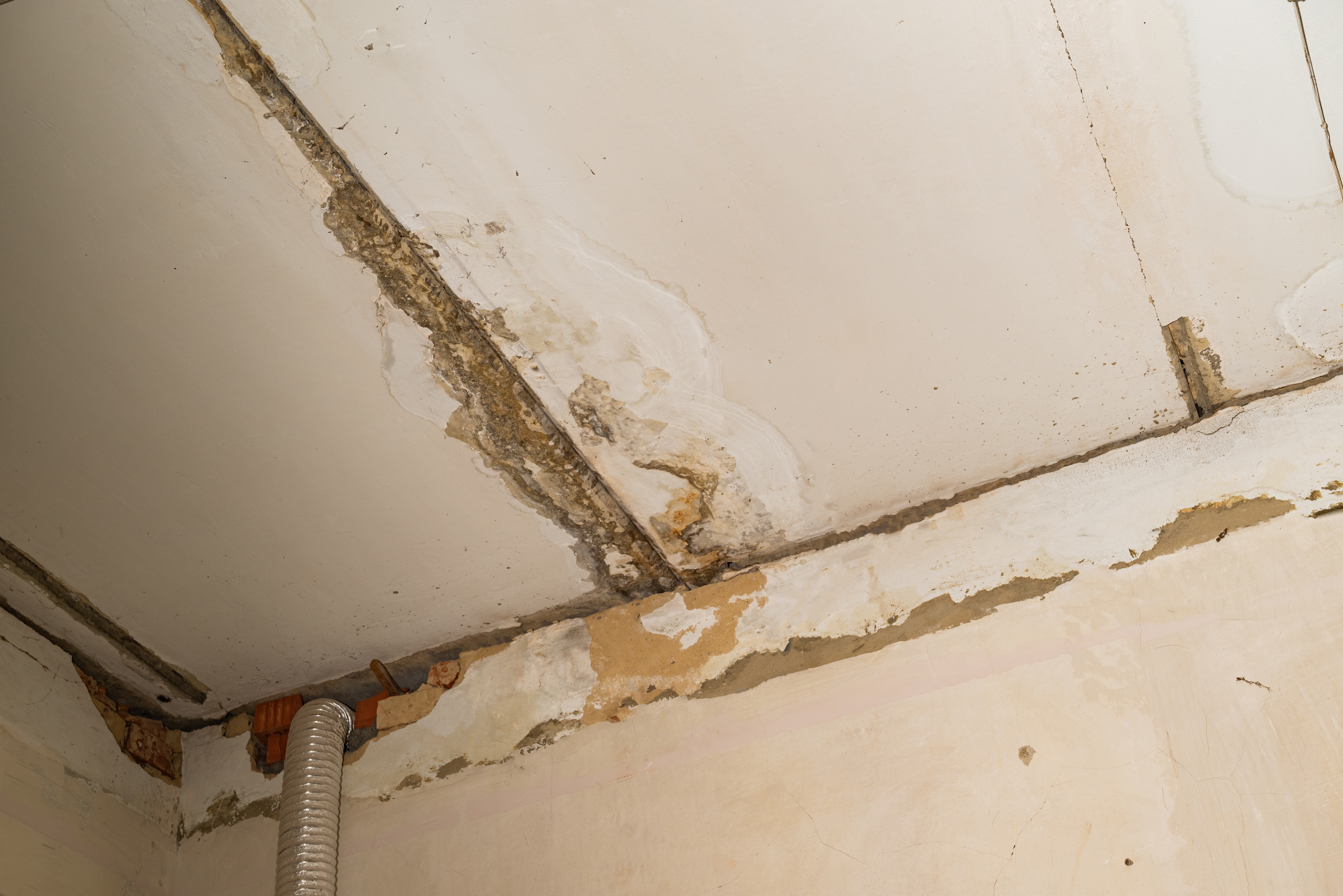 prevent mould in housing